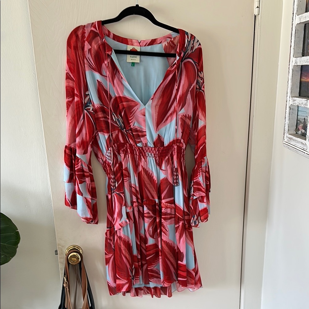 Farm Rio Floral Red and Blue Women's Dress